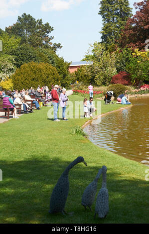 Massen von Menschen genießen den Sonnenschein an burnby Hall Gardens, Pocklington, East Riding von Yorkshire, England, UK, GB. Stockfoto