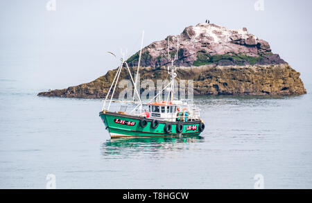 Dunbar Fischerboot in ruhigen Meer neben kleine felsige Insel mit Seevögeln, Firth-of-Forth, East Lothian, Schottland, Großbritannien Stockfoto