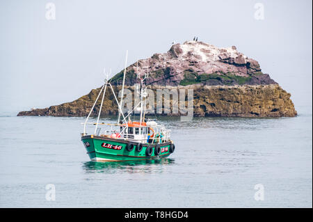 Dunbar Fischerboot in ruhigen Meer neben kleine felsige Insel mit Seevögeln, Firth-of-Forth, East Lothian, Schottland, Großbritannien Stockfoto