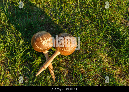 Kubanische maracas auf dem grünen Rasen. Traditionelles Musikinstrument aus natürlichen Materialien. Stockfoto