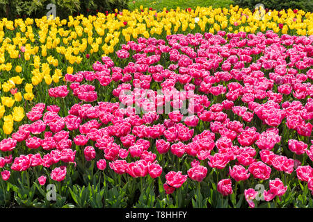 SOFIA, Bulgarien - 24 April 2019: Garten vor dem Nationaltheater Ivan Vazov in Sofia, Bulgarien Stockfoto