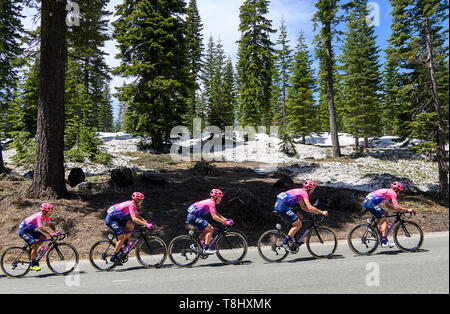 Lake Tahoe, CA, USA. 13. Mai, 2019. Team EF Education First klettert Berge während Phase zwei der Amgen Tour von Kalifornien am Montag, 13. Mai 2019 in Lake Tahoe. Credit: Paul Kitagaki jr./ZUMA Draht/Alamy leben Nachrichten Stockfoto