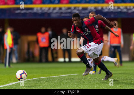 Bologna, Italien. 13. Mai, 2019. Ibrahima Mbaye (Bologna) während Erie der Italienischen eine "Übereinstimmung zwischen Bologna 4-1 Parma an Renato Dall Ara Stadion am 13. Mai 2019 in Bologna, Italien. Quelle: Lba Co.Ltd./Alamy leben Nachrichten Stockfoto