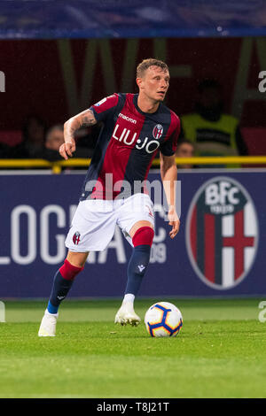 Bologna, Italien. 13. Mai, 2019. Ladislao Krejci (Bologna) während Erie der Italienischen eine "Übereinstimmung zwischen Bologna 4-1 Parma an Renato Dall Ara Stadion am 13. Mai 2019 in Bologna, Italien. Quelle: Lba Co.Ltd./Alamy leben Nachrichten Stockfoto