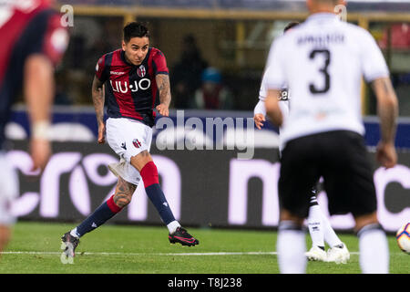 Bologna, Italien. 13. Mai, 2019. Erik Pulgar (Bologna) während Erie der Italienischen eine "Übereinstimmung zwischen Bologna 4-1 Parma an Renato Dall Ara Stadion am 13. Mai 2019 in Bologna, Italien. Quelle: Lba Co.Ltd./Alamy leben Nachrichten Stockfoto