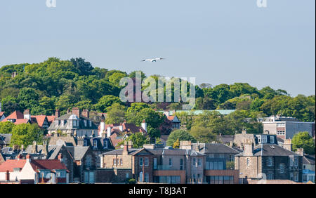 North Berwick, East Lothian, Großbritannien. 14. Mai 2019. UK Wetter: Eine Gannett vom Bass Rock, die weltweit größte Kolonie, schwebt über der Stadt Stockfoto