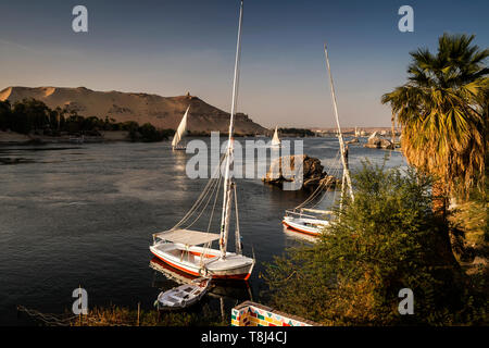 Ausflugsboote und Feluccas, Insel Elephantine, Assuan, Ägypten Stockfoto