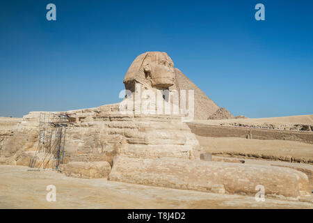 Die große Sphinx und Pyramiden, Giza in der Nähe von Kairo, Ägypten Stockfoto