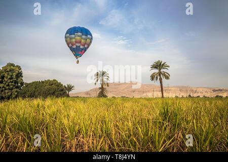 Heißluftballone fliegen über Stadt, Luxor, Ägypten Stockfoto