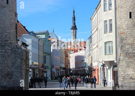 Blick trog Viru Tor in der Altstadt von Tallinn, Estland Stockfoto