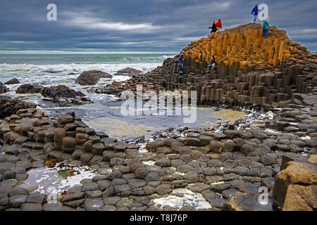 Großbritannien, Nordirland, Ulster, County Antrim, die Giants Causeway Stockfoto