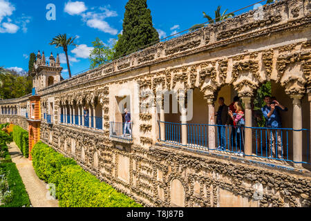 Blick auf die Real Alcazar Galeria de Grutesco der Königliche Palast Sevilla Spanien. Stockfoto