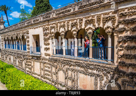 Blick auf die Real Alcazar Galeria de Grutesco der Königliche Palast Sevilla Spanien. Stockfoto