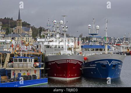 Irland, County Donegal, Killybegs Fischerhafen Stockfoto