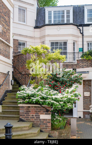 Cobham Hof, in der Nähe von Chester, Belgravia, London, England Stockfoto