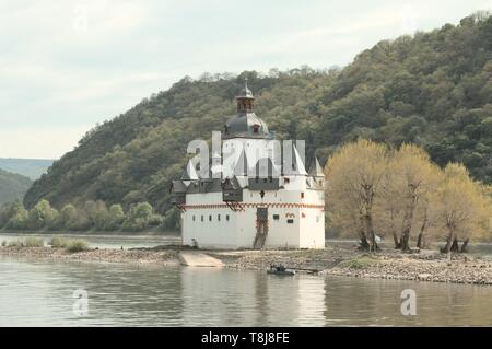 Pfalzgrafenstein (Deutsch: Burg Pfalzgrafenstein) ist eine Burg auf dem Falkenau Insel, ansonsten wie Pfalz Insel im Rhein bekannt (K Stockfoto