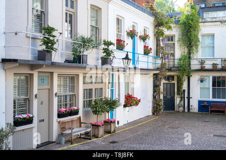 Häuser mit kleinen Bäumen und Sträuchern in Containern in Courtfield Mews, Kensington, London, England Stockfoto