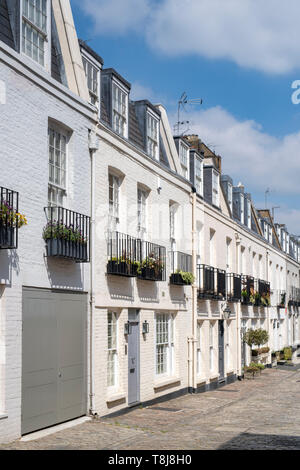 Eaton mews Nord, Lyall Street, Belgravia, London, England Stockfoto