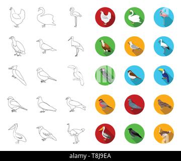 Arten von Vögeln Umrisse, Flachbild Symbole im Set Sammlung für Design. Haus- und Wild Bird vektor Symbol lieferbar Abbildung. Stock Vektor