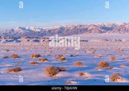 Die Mongolei, im Westen der Mongolei, Altai Gebirge Stockfoto