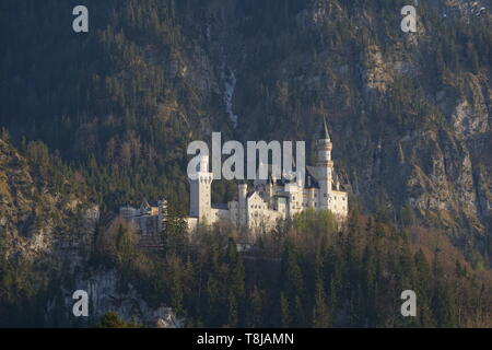 Schloss Neuschwanstein im Frühjahr Stockfoto