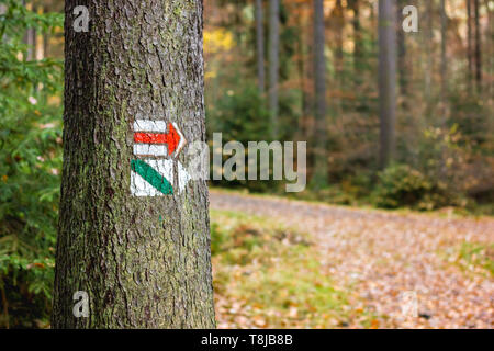 Trail Markierung auf Baum in der Tschechischen Republik. Lackierten Markierung für Touristen, Wanderer und Trekker. Methode der Navigation auf touristischen Wege und Pfade in der Natur. Ve Stockfoto