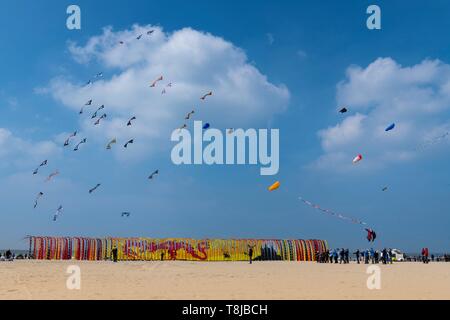 Frankreich, Nord-Pas-de-Calais", Opale Küste, Berck-sur-Mer, Berck-sur-Mer Internationale Kite Treffen, während 9 Tagen die Stadt begrüßt 500 Drachen aus der ganzen Welt für eine der wichtigsten kite Ereignisse in der Welt Stockfoto
