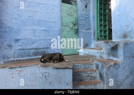 Indische Fassade mit bunten typischen Indischen Tür Stockfoto