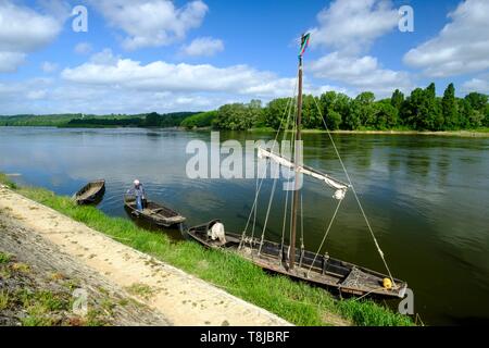 Frankreich, Indre et Loire, Brehemont, als Weltkulturerbe von der UNESCO, traditionelles Boot auf dem Fluss Loire Stockfoto