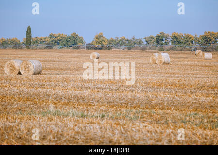 Kaution Heu ernten in der wundervollen Herbst Bauern feld landschaft mit Heu Stacks Stockfoto