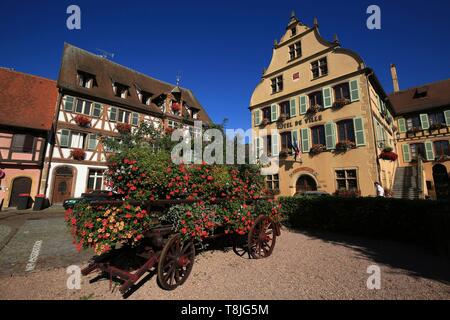 Frankreich, Haut Rhin, Turckheim, Rathaus (Ocker Fassade) auf dem Platz Turenne. Stockfoto