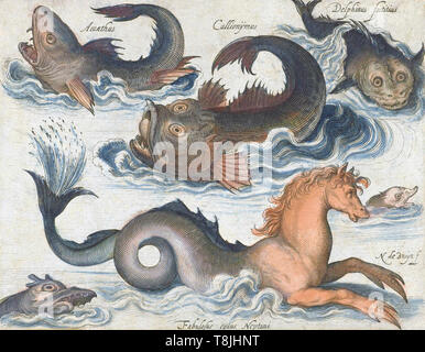 Seepferdchen und andere imaginäre Meeresbewohner, nach einem 17. Jahrhundert Kupferstich von Nicolaes de Bruyn. Später einfärben. Stockfoto