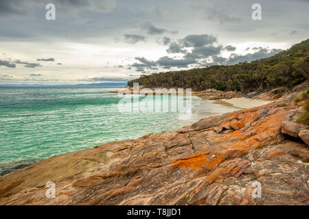 Freycinet National Park - Wineglass Bay Kreisspur. Tasmanien. Stockfoto