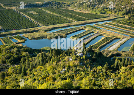 Kroatien, Dalmatien, Ploce, Landwirtschaft im Neretva-Delta Stockfoto