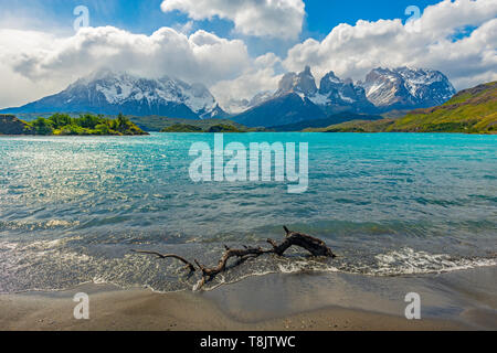 Pehoe See und seine berühmte türkis Gletscher Wasser, Cuernos und Torres del Paine, Anden Gipfeln im Hintergrund, Patagonien, Chile. Stockfoto