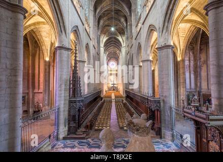 Frankreich, Aveyron, Rodez, das Chorgestühl, die Kathedrale Notre Dame, 12. Jh. in das 16. Jahrhundert Stockfoto