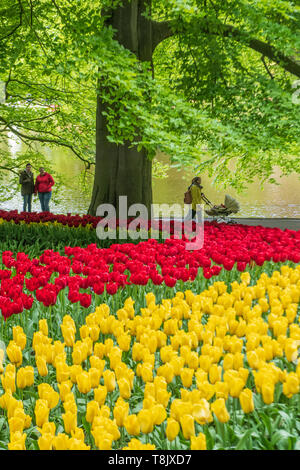 Keukenhof Gardens Touristen - Niederlande - Tourismus Tulpen - rote und gelbe Tulpen - Tulpe Blume Betten - Tulip Blumen - rote Tulpen - gelbe Tulpen Stockfoto