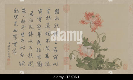 Qing Dynastie Lang leuchtende Blume und Vogel Atlas 10. Stockfoto