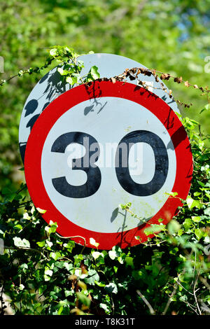 30 Meilen pro Stunde Höchstgeschwindigkeit Zeichen in einer Hecke, Boughton Monchelsea Dorf, Kent, England. Stockfoto
