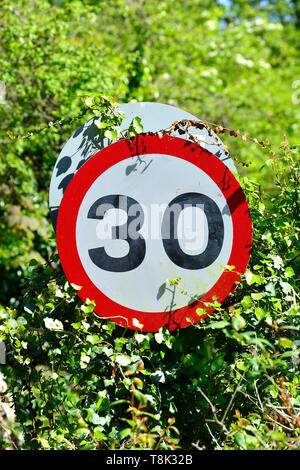 30 Meilen pro Stunde Höchstgeschwindigkeit Zeichen in einer Hecke, Boughton Monchelsea Dorf, Kent, England. Stockfoto