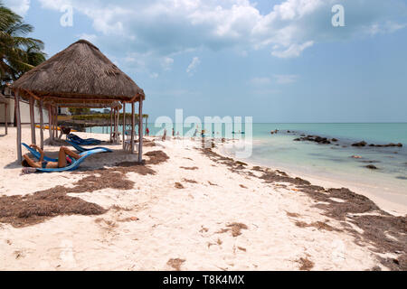 Mexikanischen Strand - Touristen am Strand am Golf von Mexiko in Campeche, Yucatán, Mexiko Mittelamerika Stockfoto