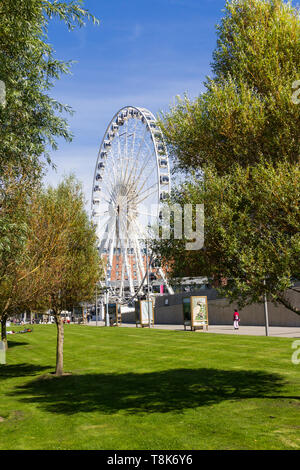 Das Rad von Liverpool Riesenrad fahren, neben Duke's Dock und neben der M&S-Bank Arena (ehemals der Echo Arena) Liverpool gelegen. Stockfoto