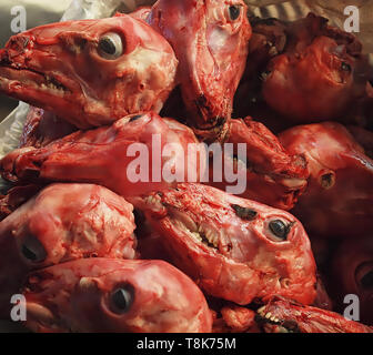 Frisches rohes Lammfleisch Köpfe an einem Lebensmittelmarkt Stockfoto