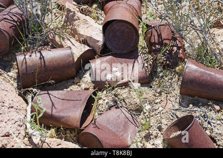 Kleine weiße Wildflower wachsende unter den alten Metall Papierkorb in der Wüste Stockfoto