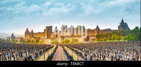 Blick auf die mittelalterliche Stadt Carcassonne aus einem Weinberg, Languedoc-Roussillon, Aude, Royal, Frankreich Stockfoto