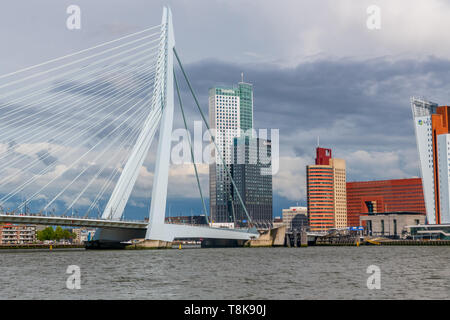 Skyline von Rotterdam und Neue Maas - Schiffsverkehr auf dem Fluss Nieuwe Maas und Hafen Rotterdam - Niederlande - Niederländische Wirtschaft - Niederländische Handelskammer Stockfoto