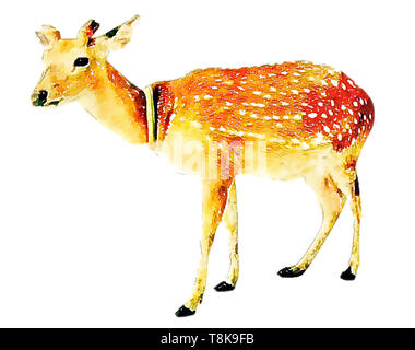 Bunte Aquarelle handgemalte Kunst Illustration: deer/Rentier (Hochauflösende 2D-CG Abbildung) Stockfoto