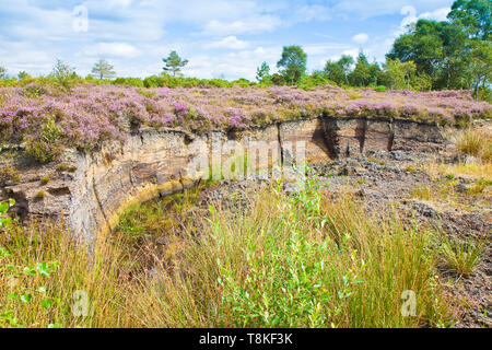 Irischer Torf Landschaft bog-(Irland - Europa) Stockfoto