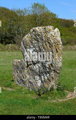 Teufel Quoit Standing Stone menhir Aufbau Warren Bosherston tanzen Stein der Aufbau Harold Stein Aufbau Warren Stein Pembrokeshire. Stockfoto