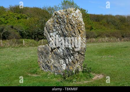 Teufel Quoit Standing Stone menhir Aufbau Warren Bosherston tanzen Stein der Aufbau Harold Stein Aufbau Warren Stein Pembrokeshire. Stockfoto